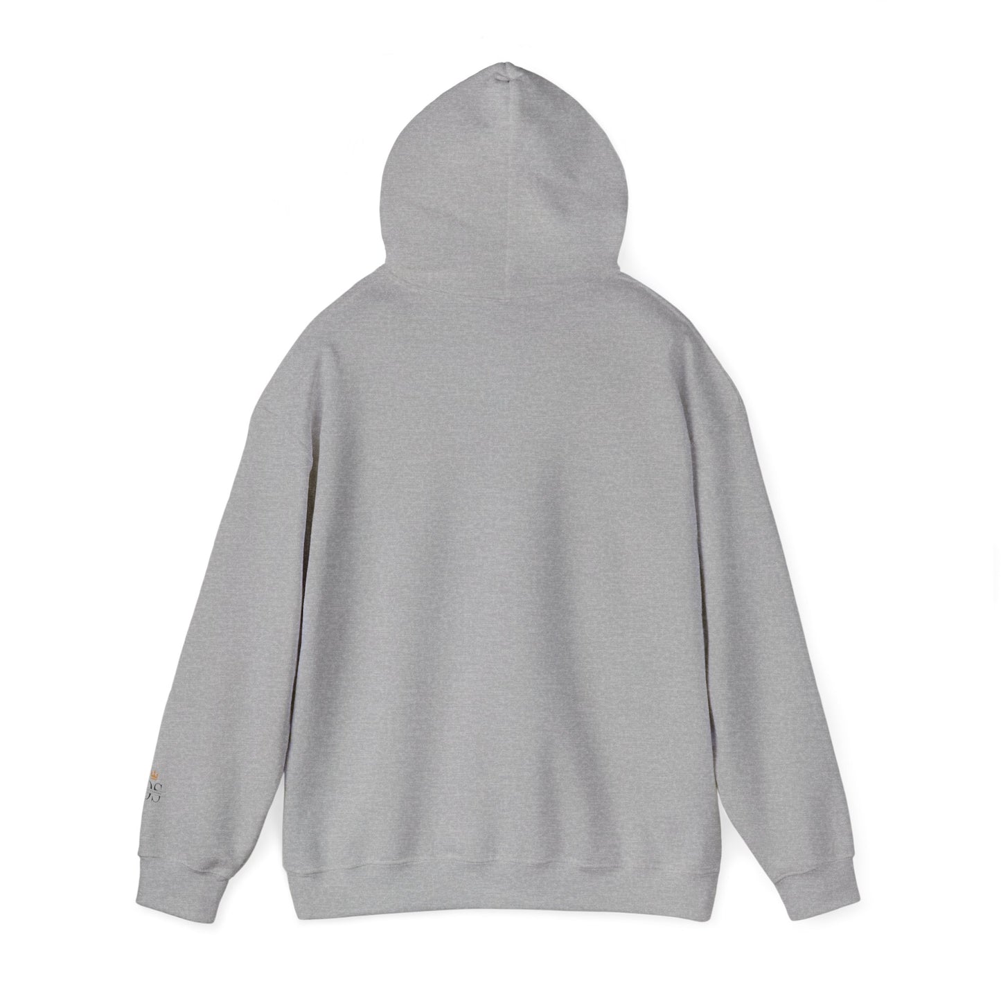 Daily Standard Unisex Hoodie, Trendy Sweatshirt